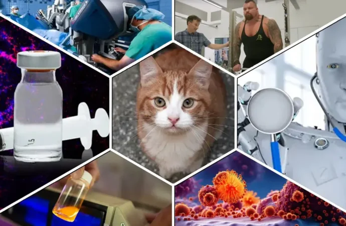 2024’te sağlık sektöründe hangi yenilikler ön plana çıktı?