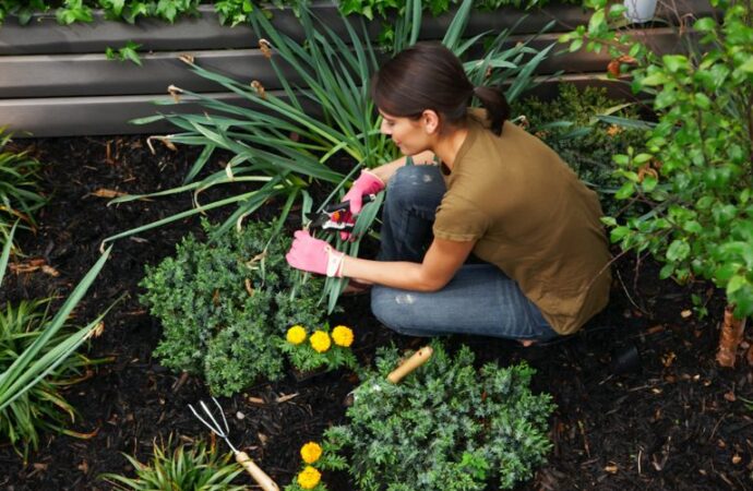 Bahçenizde karbon pozitif bahçecilik yapmanın yolları