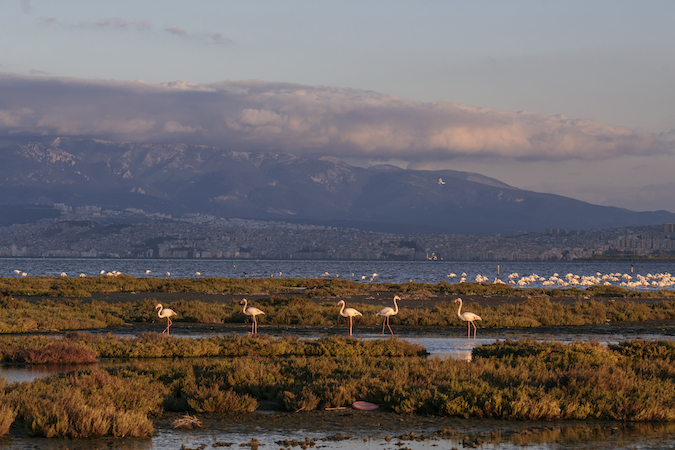 Sulak alan kayıpları devam ediyor: Ekosistemler tehlikede