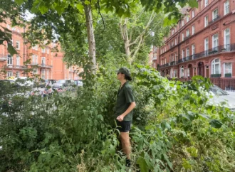 Japonların mikro-orman yöntemi şehirleri dönüştürüyor