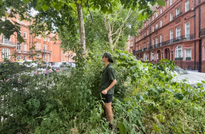 Japonların mikro-orman yöntemi şehirleri dönüştürüyor