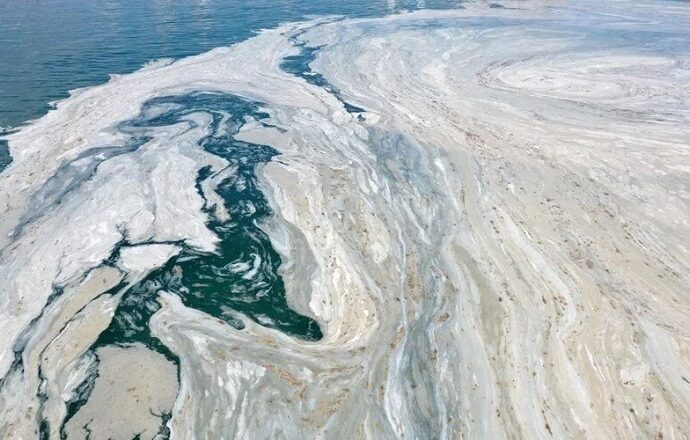 Marmara Deniz’inde müsilaj tehlikesi devam ediyor