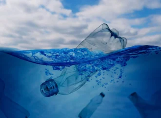 Kalamar kemiği denizlerdeki mikroplastiklerin yüzde 99,8’ini emiyor