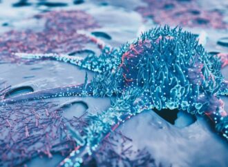 Koreli araştırmacıların keşfettiği yeni yöntem sayesinde  kanser hücreleri normal hücrelere dönüşüyor