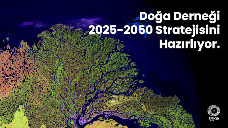 Doğa Derneği, ortaklarıyla birlikte 2025-2050 stratejisini hazırlıyor