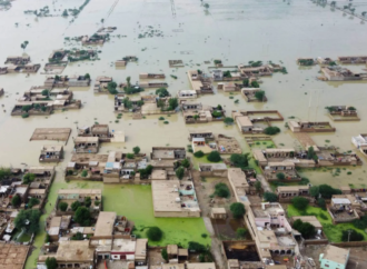 Uluslararası Şeffaflık Örgütü yolsuzluk ve iklim krizi arasındaki ilişkiye dikkat çekti