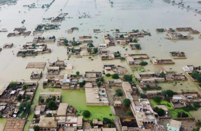 Uluslararası Şeffaflık Örgütü yolsuzluk ve iklim krizi arasındaki ilişkiye dikkat çekti