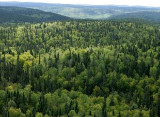 Ülkeler doğayı koruyacak finansman planı üzerinde uzlaşmaya vardı