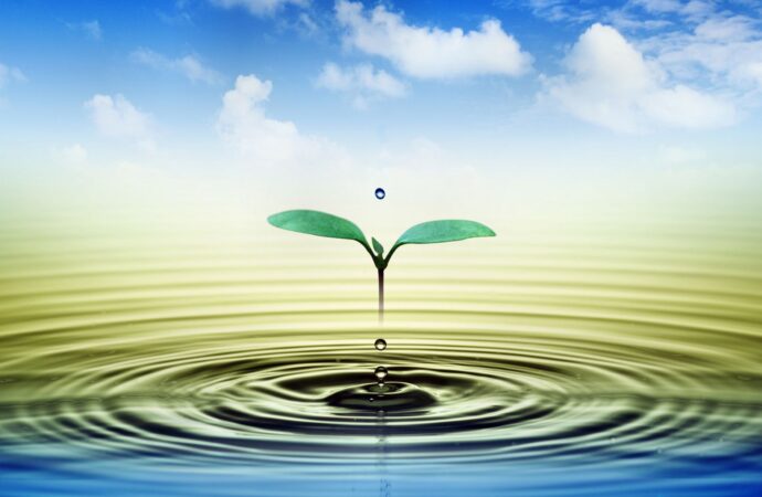 Türkiye suyunu korumazsa, gelecekte geri dönüşü olmayan bir krizle karşı karşıya kalabilir