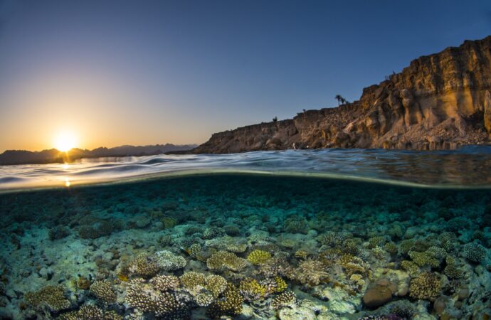 Birleşmiş Milletler 5. Okyanus Konferansı: Ticaret ve İnovasyon mavi ekonomiyi nasıl hareketlendirir?