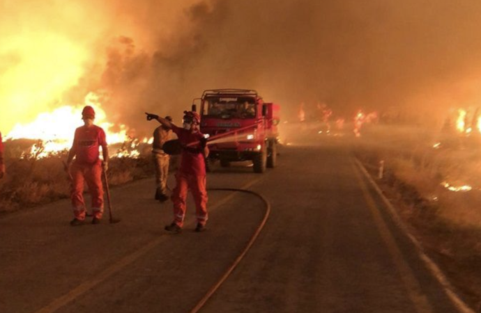 Yaz geldi, risk arttı: Orman yangınlarına karşı hazırlıklı mıyız? AKUT VAKFI’ndan hayat kurtaran uyarılar ve alınabilecek önlemler