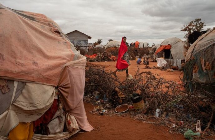 UN raporu: Kuraklık, sessiz ve yıkıcı bir küresel krize dönüştü