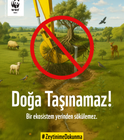 WWF-Türkiye’den Anayasa Mahkemesi’ne çağrı: “Doğa Taşınamaz, Ekosistem Yerinden Edilemez”