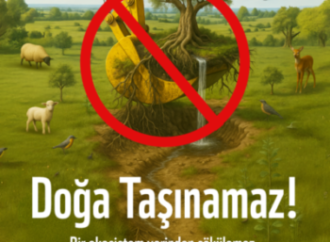 WWF-Türkiye’den Anayasa Mahkemesi’ne çağrı: “Doğa Taşınamaz, Ekosistem Yerinden Edilemez”