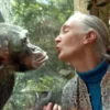 Gezegenimizin kahramanı Jane Goodall 91 yaşında hayatını kaybetti
