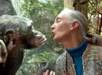 Gezegenimizin kahramanı Jane Goodall 91 yaşında hayatını kaybetti