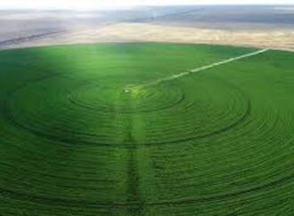 Tarımda yeni dönem: Circle Farming