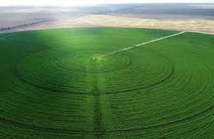 Tarımda yeni dönem: Circle Farming