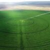 Tarımda yeni dönem: Circle Farming