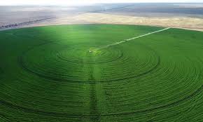 Tarımda yeni dönem: Circle Farming