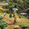 FAO Food Heroes 2025 – Dünyayı besleyen kahramanlar