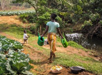 FAO Food Heroes 2025 – Dünyayı besleyen kahramanlar