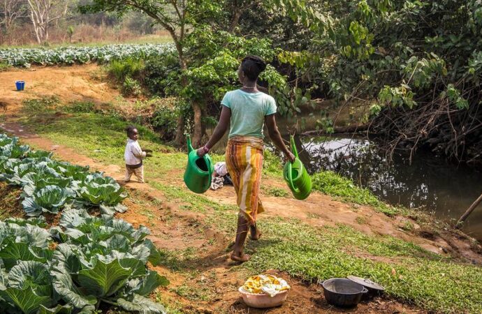 FAO Food Heroes 2025 – Dünyayı besleyen kahramanlar