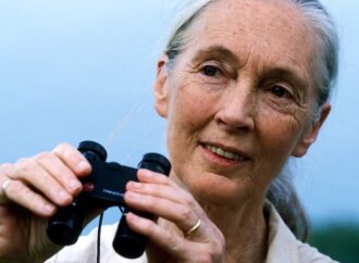 Pera Müzesi’nde Jane Goodall anma buluşması