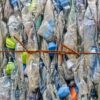 Plastik şişelere ikinci hayat: Enerji depolama aygıtlarına dönüşüyorlar
