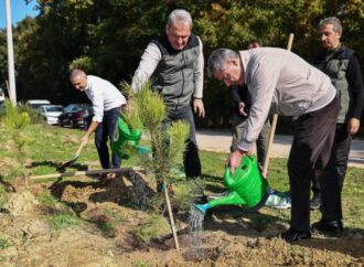Yıldızlar Yatırım Holding, Fehmi Yıldız Vakfı Hatıra Ormanı ile Geleceğe Umut Oluyor