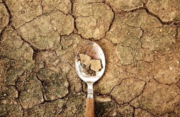 TEMA Vakfı: Toprak Yoksa Su, Su Yoksa Gıda Yok!