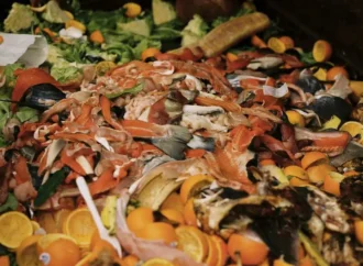 Hong Kong gıda atığını enerjiye ve komposta dönüştürüyor