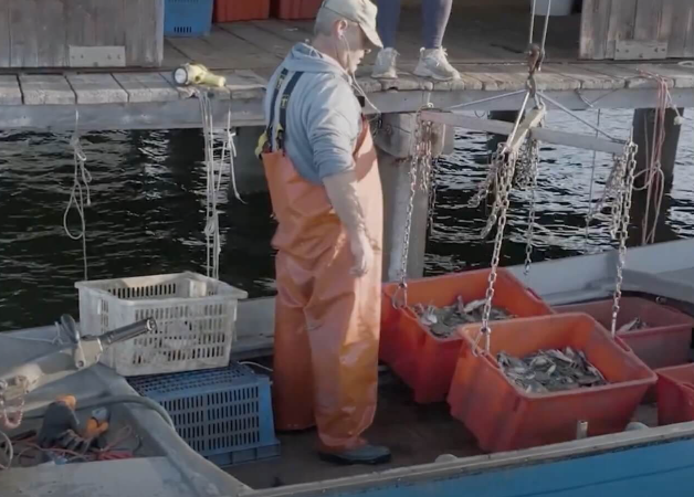 FORZA10 istilacı mavi yengeci sürdürülebilir kedi mamasına dönüştürüyor