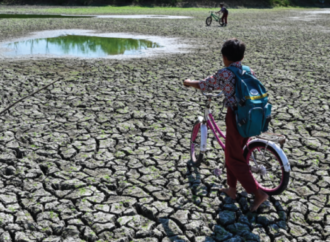 Yeni araştırma: Orta gelirli ülkeler iklim krizini hissediyor ve yaşam tarzlarında değişime istekliler