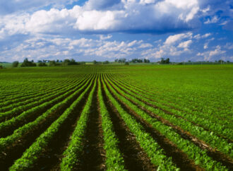 Daha az kaynak kullanarak dünyayı beslemek mümkün mü?