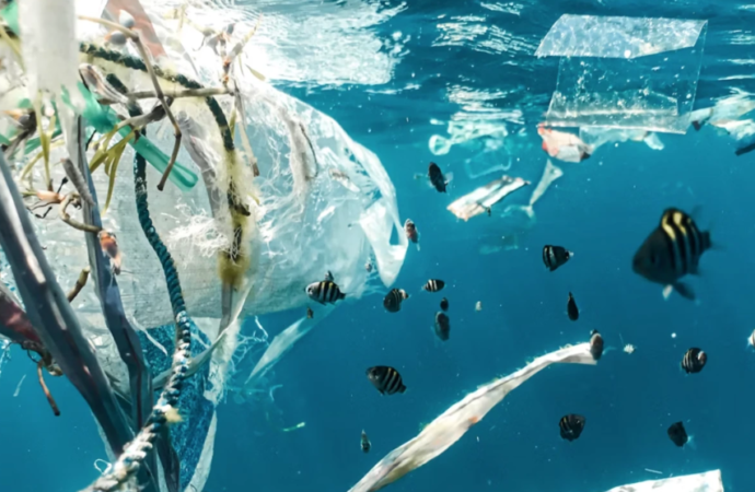 Plastik Atıksız Limanlar Projesi’nde Türkiye ve Tunus pilot ülke oldu