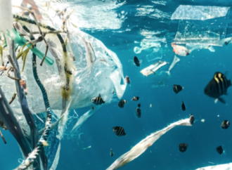 Plastik Atıksız Limanlar Projesi’nde Türkiye ve Tunus pilot ülke oldu