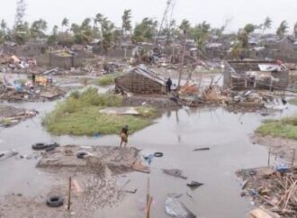 Yaşanabilir bir dünya tehlikede: İklim eylemsizliğinin bedeli ölümcül