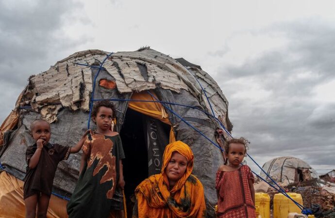 BM: Çatışmalar ve savaş alanları dünyanın ekosistemlerini yok ediyor