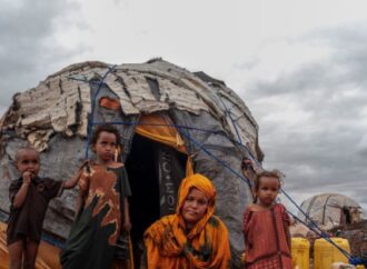 BM: Çatışmalar ve savaş alanları dünyanın ekosistemlerini yok ediyor