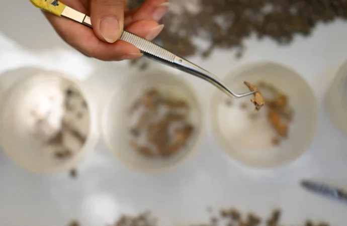 Kahramanmaraş’ta 13 bin yıl öncesine ait izler bulundu