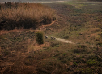 IUCN yaban hayvanlarını iklim mücadelesinin görünmez kahramanları olarak kabul etti!