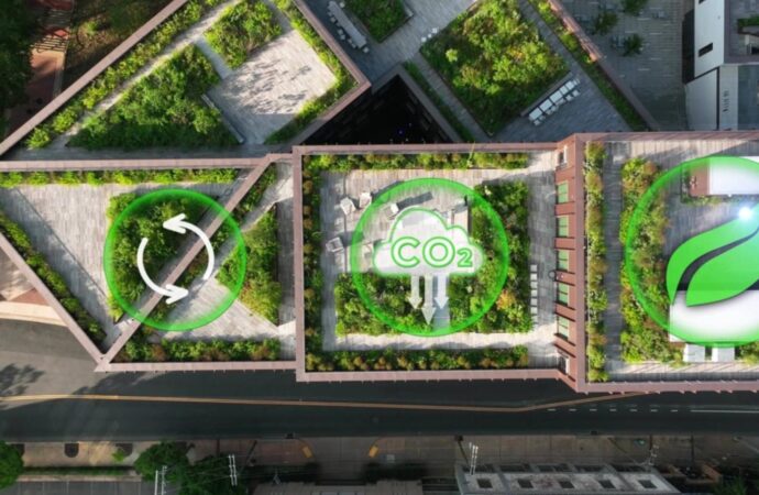 ABD hükümeti yeşil teşvikleri geri çekerken şirketler sürdürülebilirlik adımlarını hızlandırıyor