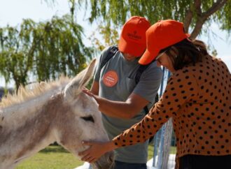 Borusan, gönüllülük faaliyetleriyle toplumsal faydayı büyütüyor
