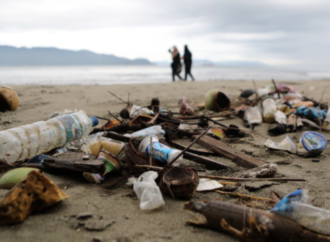Yeniden kullanım ve iade sistemleriyle plastik kirliliği 15 yılda yok edilebilir