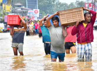 BM: Art arda gelen en sıcak yıllar ‘geri döndürülemez zarar’ riski taşıyor