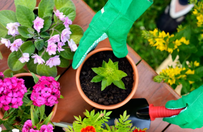 İngiltere’de çiçek buketlerinin yerini sebzeler alacak