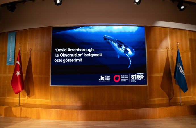 Attenborough belgeseli “Ocean” için İstanbul’da ve Muğla’da özel gösterim