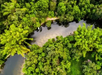 2025’te doğa için atılan adımlar ve umudu büyüten kazanımlar