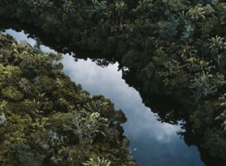 Bilim insanlarından uyarı: Emisyonlar azaltılmazsa Amazon 2100’e kadar hiper-tropikal iklime sürüklenebilir